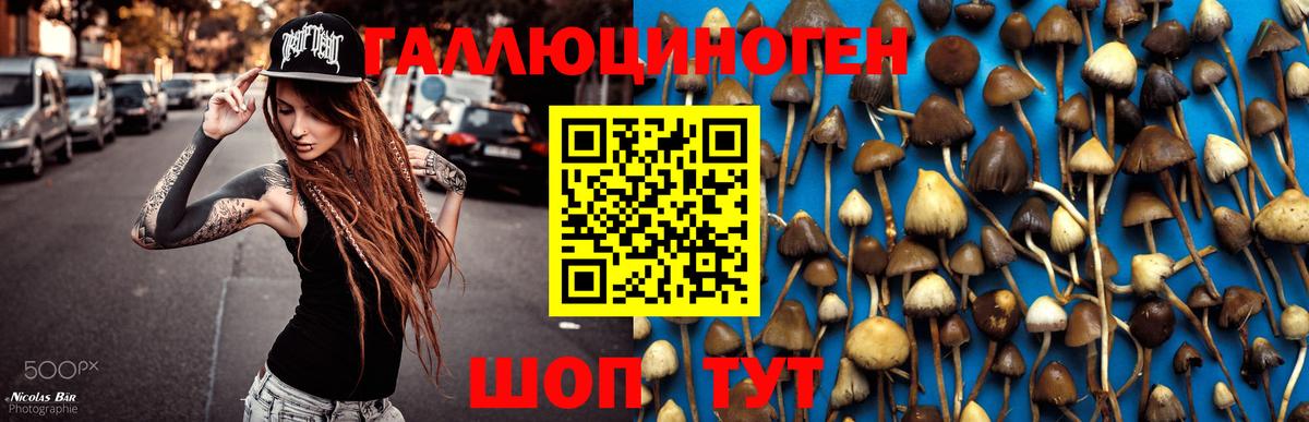 Галлюциногенные грибы ЛСД  Вход с VPN  Гай  Псилоцибиновые грибы Psilocybine cubensis 