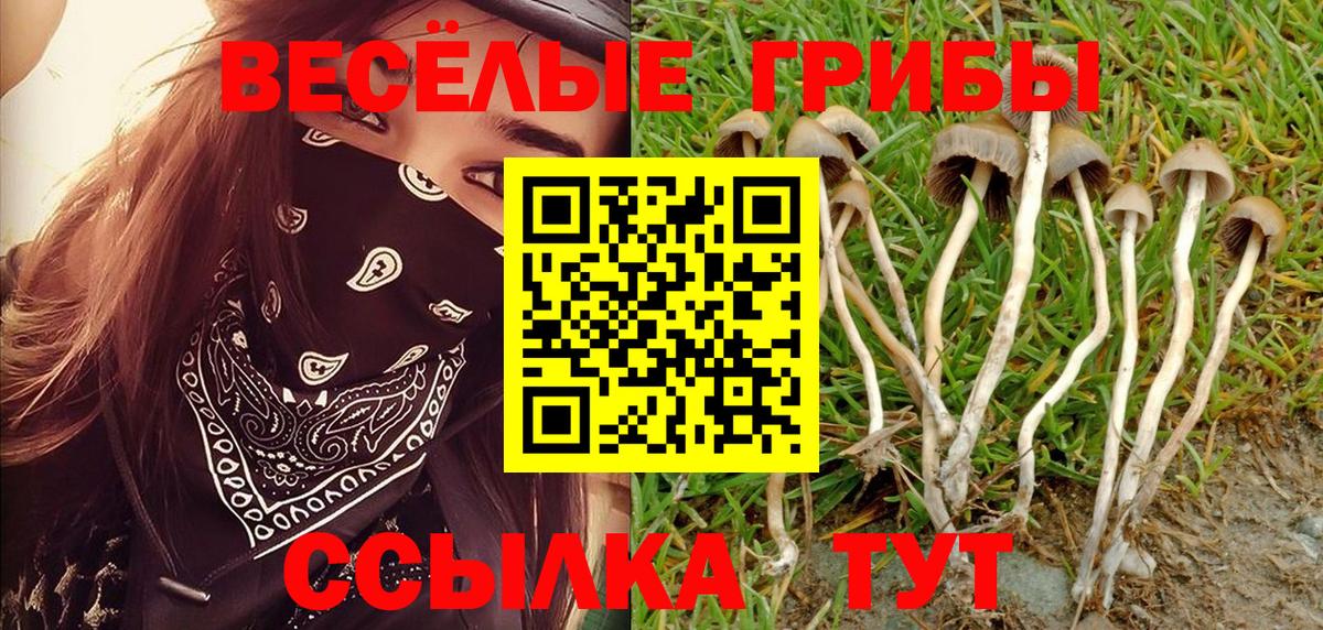 Псилоцибиновые грибы Magic Shrooms Гай