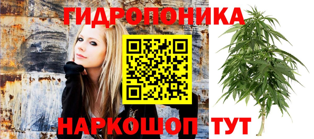 Канабис THC 21%  Марихуана White Widow  Гай  Канабис семена  Шишки марихуана гибрид  Вход с VPN 
